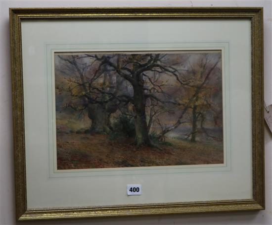 Thomas Tayler (Irish fl. 1894-1921) Autumnal woodland landscape 25 x 37cm